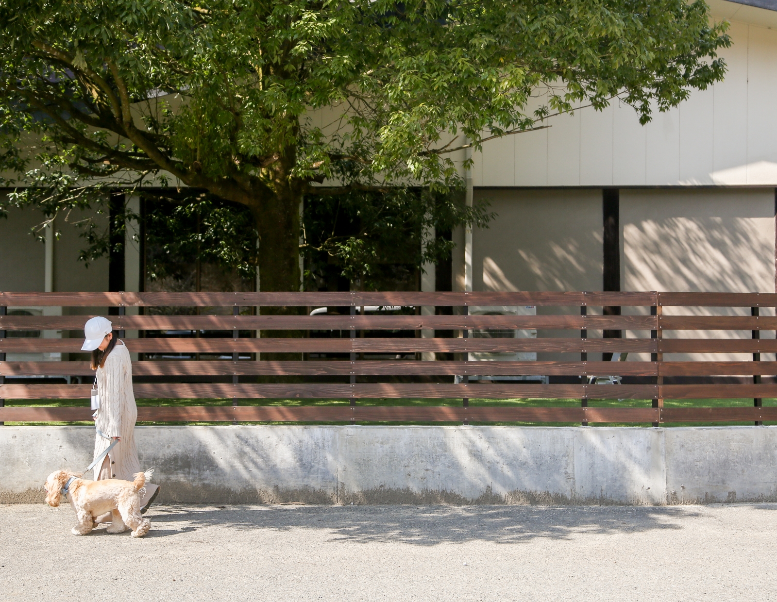 ルポの森の敷地内で愛犬との散歩イメージ