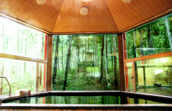 【宿泊棟・ズボ蟹(2食付)】福井の郷土食 食べやすくみずみずしい「水蟹(ズボ蟹)」1杯付の写真