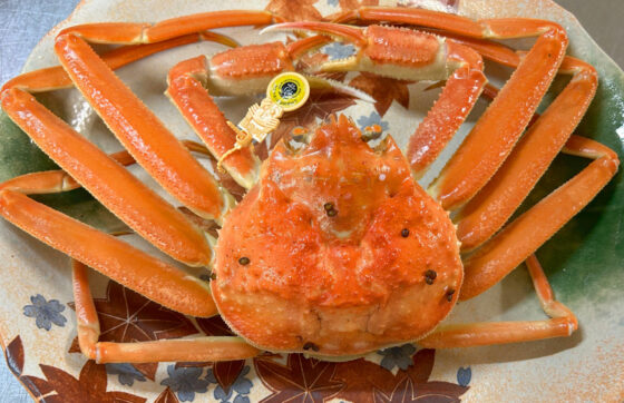 【宿泊棟・越前カニ(2食)】福井の味覚!かにの王様「越前蟹」を満喫!越前美山の自然&温泉の写真
