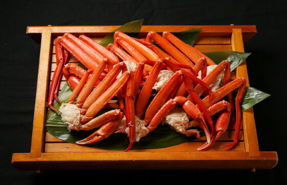 公式　期間限定【宿泊棟・蟹付スタンダード2食】紅ズワイ蟹1杯付き！こだわり料理と温泉でリラックスの写真